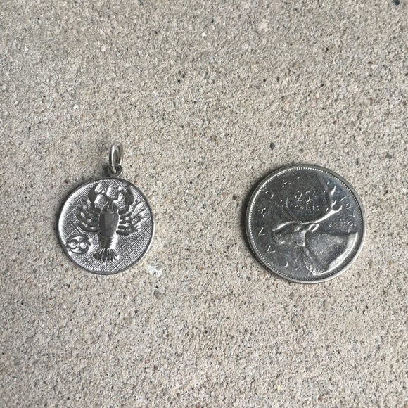 Sterling Silver Zodiac Charm - Picture 3 of 3